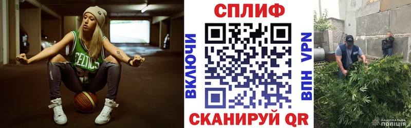 Бошки Шишки THC 21%  Купить  Уяр 